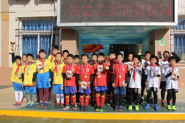 首尔公园采取措施禁止蝉幼虫采集事件重演